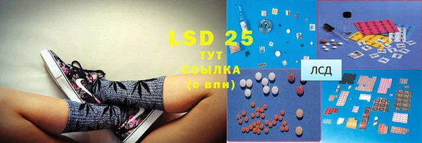 ПСИЛОЦИБИНОВЫЕ ГРИБЫ Липки