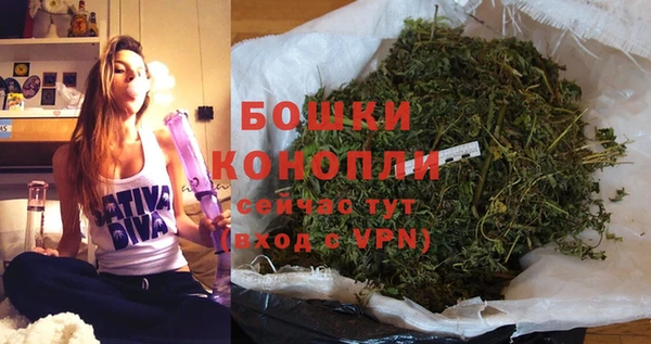 ПСИЛОЦИБИНОВЫЕ ГРИБЫ Липки