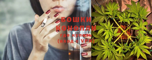 ПСИЛОЦИБИНОВЫЕ ГРИБЫ Липки