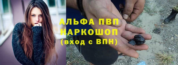 ПСИЛОЦИБИНОВЫЕ ГРИБЫ Липки