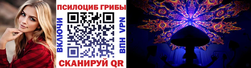 Купить  Ртищево  Псилоцибиновые грибы Psilocybe 