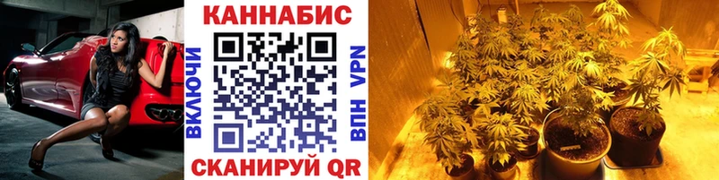 Купить Ртищево Шишки марихуана индика
